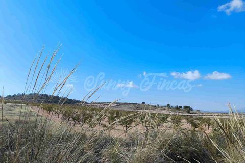 Helårsgrund i Jumilla, Murcia, Jumilla - € 29.900 | Ref: SF0544 - foto 9